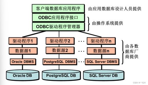 電子科技大學《數(shù)據(jù)庫系統(tǒng)》期末匯總 概念、習題與代碼全解析
